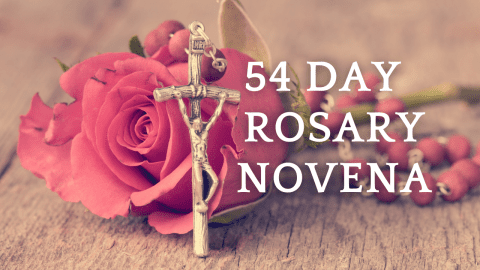 54 Day ROSARY Novena - A Catholic Moms Life